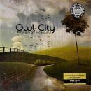 OWL CITY / ALL THINGS BRIGHT AND BEAUTIFUL [LP]