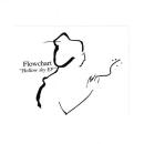 FLOWCHART / HOLLOW SKY EP [7"]