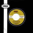 THE FRANK POPP ENSEMBLE / LOVE IS ON OUR SIDE [7"]