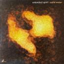 EXTENDED SPIRIT / SOLID WATER [12"]