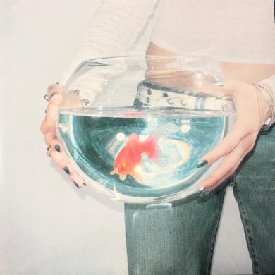 FISH NARC / FROG SONG [LP]