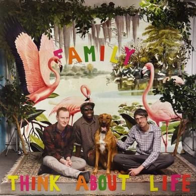 THINK ABOUT LIFE / FAMILY [LP]