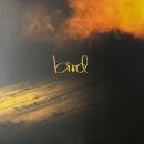 BIRD / 君の音が聴こえる場所へ [12"]