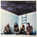 THE SKINTS / SWIMMING LESSONS [LP]