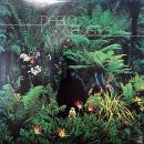 PABLO CRUISE / PABLO CRUISE [LP]