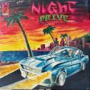 Adam Chini / Night Drive [LP]