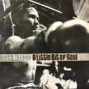Kid Loco / A Little Bit Of Soul [12"]