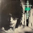 THE WATERBOYS / A PAGAN PLACE [LP]
