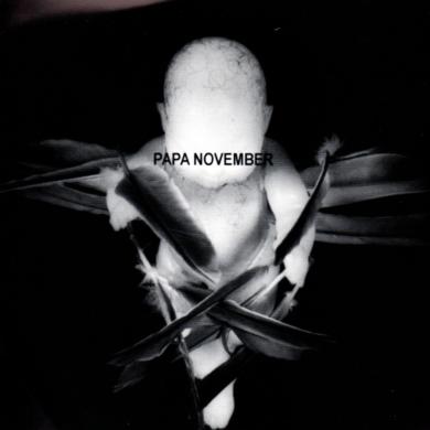 Papa November / Monkey See Monkey Does [7"]