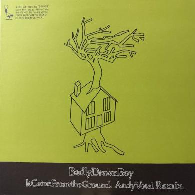 Badly Drawn Boy / It Came From The Ground [10"]