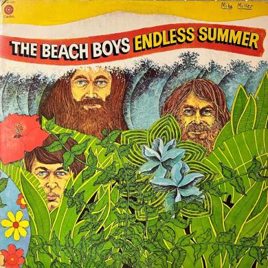 BEACH BOYS / ENDLESS SUMMER [2LP]