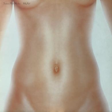 FANTASTIC PLASTIC MACHINE / WHY NOT? [12"]