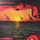 SUMMER HYMNS / VOICE BROTHER AND SISTER [LP]