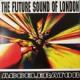 THE FUTURE SOUND OF LONDON / ACCELERATOR [LP]