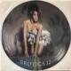 David Guetta Feat. Rihanna / Who's That Chick? [12"]