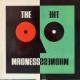 THE MADNESS / THE MADNESS [LP]