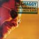 Shaggy / Boombastic [LP]