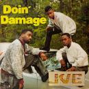 J.V.C.F.O.R.C.E. / DOIN' DAMAGE [LP]