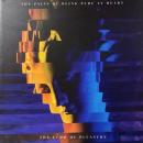 THE PAINS OF BEING PURE AT HEART / THE ECHO OF PLEASURE [LP]