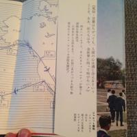 メキシコ親善使節団編 / サボテンの国旅行記 [BOOK]