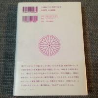 細野晴臣 / アンビエント・ドライヴァー [BOOK]