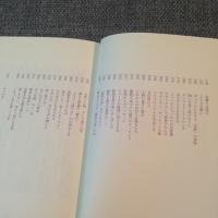 細野晴臣 / アンビエント・ドライヴァー [BOOK]