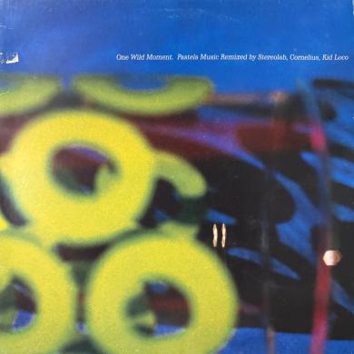 PASTELS / ONE WILD MOMENT [12"]