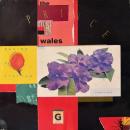 DEVINE & STATTON / THE PRINCE OF WALES [LP]
