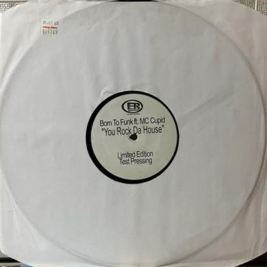 Born To Funk / You Rock Da House [12"]