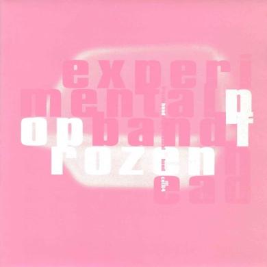 EXPERIMENTAL POP BAND / FROZEN HEAD [7"]