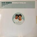 David's Daughters / Dreaming Of Loving You [12"]