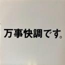 PIZZICATO FIVE / PIZZICATO FIVE WE DIG YOU 2 [12"]