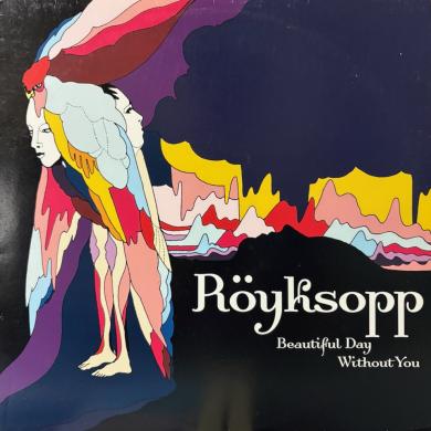 Royksopp / Beautiful Day Without You [12"]