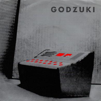 Godzuki / Your Future [7"]