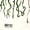 Architecture In Helsinki / Maybe You Can Owe Me [7"]