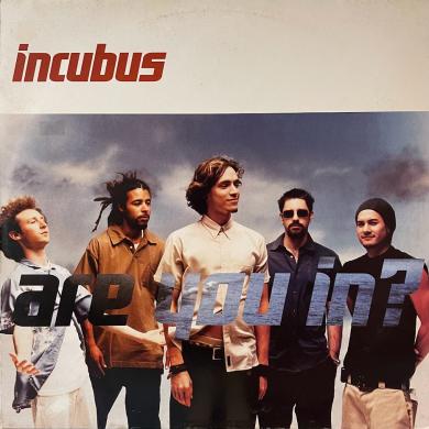 INCUBUS / ARE YOU IN? [12"]