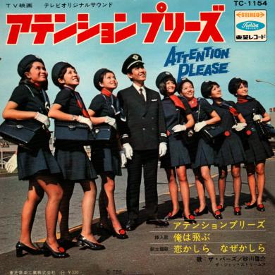 ザ・バーズ / アテンションプリーズ [7"]